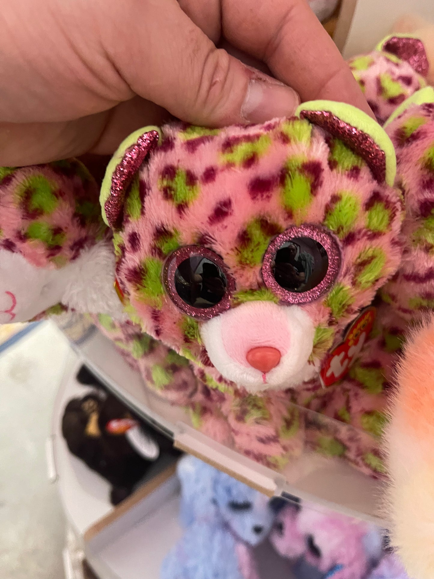Ty Stuffies