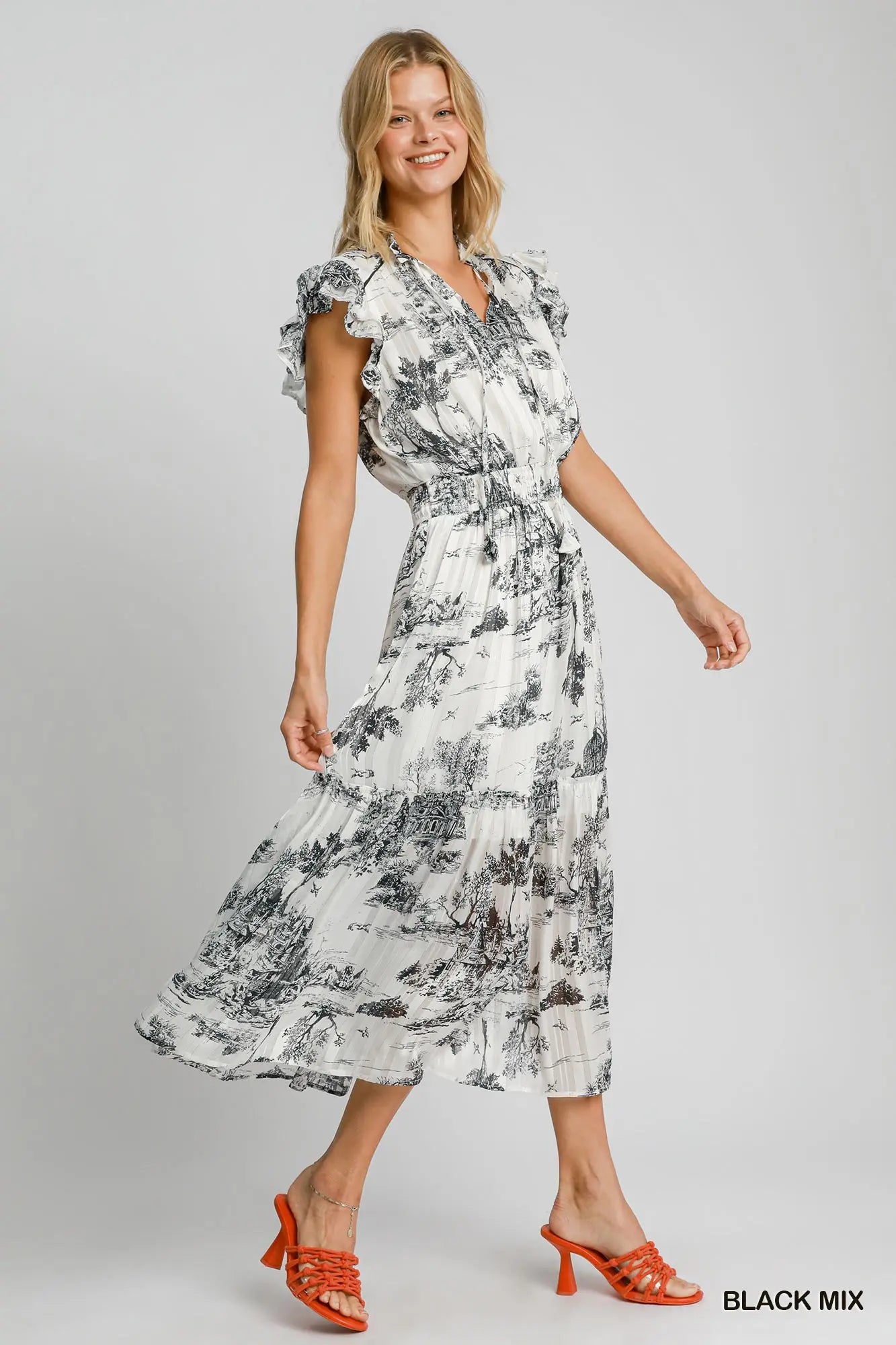 Two Tone Landscape Print Midi Dress