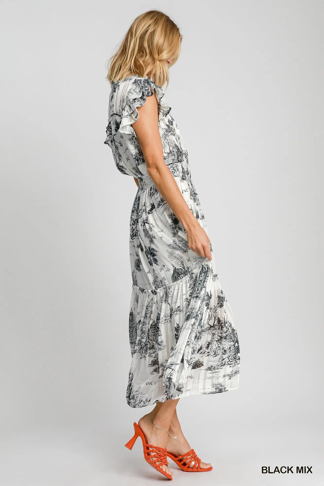 Two Tone Landscape Print Midi Dress